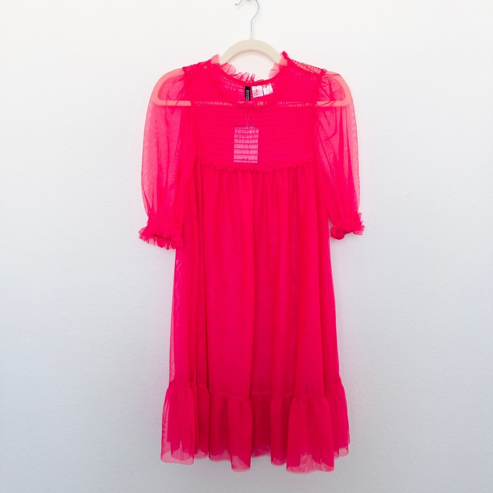 H&M Collab All The Boys Dress Sz S Hot Pink Sheer Mesh Ruffle Mini Y2K Coquette - Picture 3 of 9